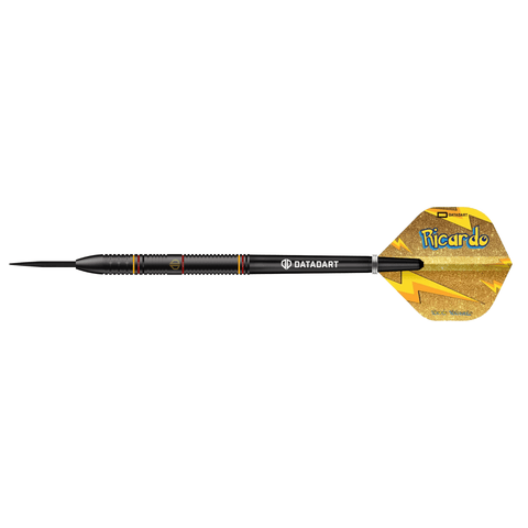 Datadart Ricardo Pietreczko dart with a yellow and black design on a white background